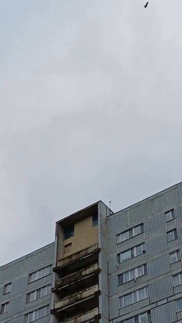 Суровая осень!