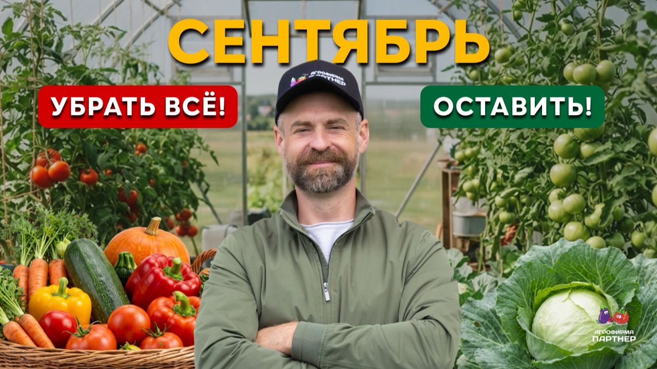 🥕 Когда убирать морковь, свеклу, картофель, капусту, тыквы и другие культуры?