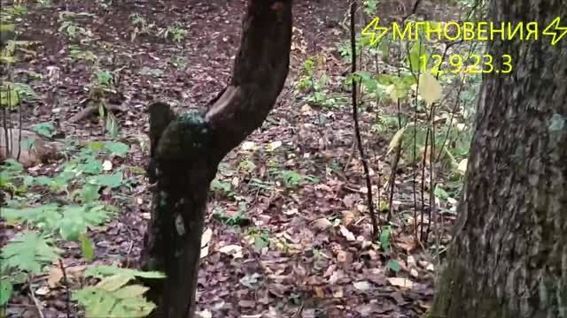 ⚡МГНОВЕНИЯ⚡ 12.9.23.3