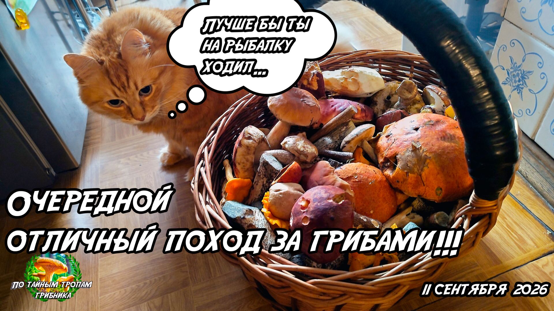 Очередной  отличный поход за грибами!!! 11 сентября 2026