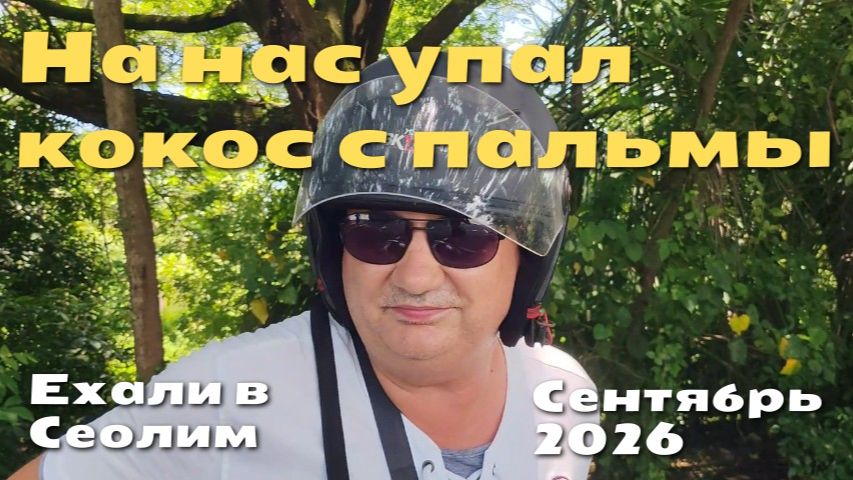 На нас упал кокос