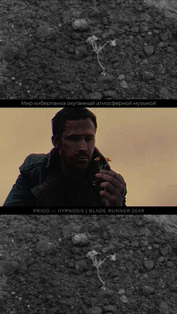 Мир киберпанка окутанный атмосферной музыкой 🧬🌌