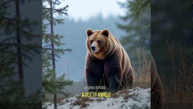 1000006303.mp4 Жизнь на Севере 