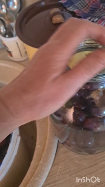 МОЙ ЗАВТРАК. ВАРЮ СУП. СЛИВА НАРОСЛА.ПЕРЕРАБАТЫВАЮ.