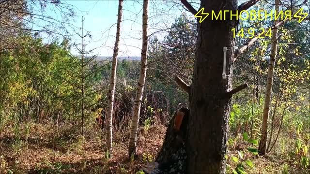 ⚡МГНОВЕНИЯ⚡ 14.9.24
