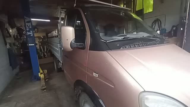 Газель: