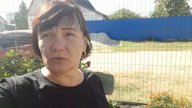 РАБОТЫ В ПАЛИСАДНИКЕ. ГОТОВЛЮ ГОЛУБЦЫ