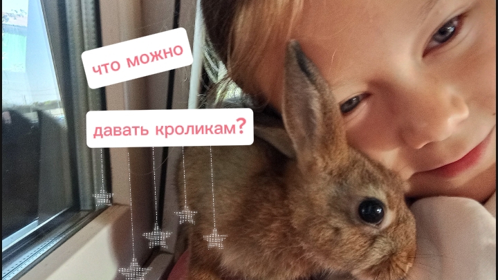 что можно давать кроликам?