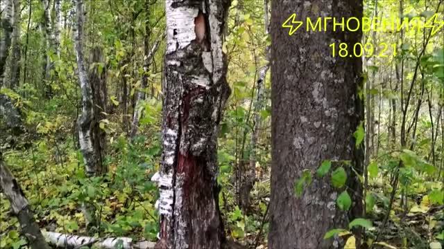 ⚡МГНОВЕНИЯ⚡ 18.09.21