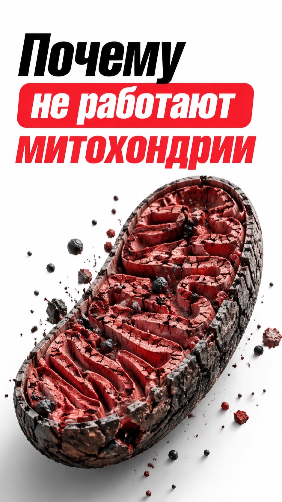 Почему не работают митохондрии?