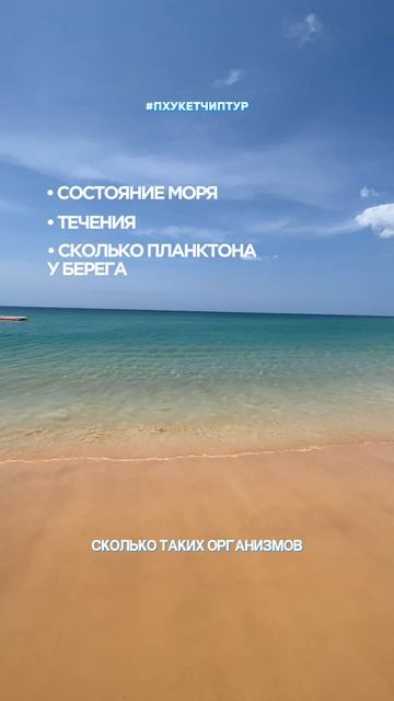  Где спросить что прямо сейчас происходит на Пхукете?