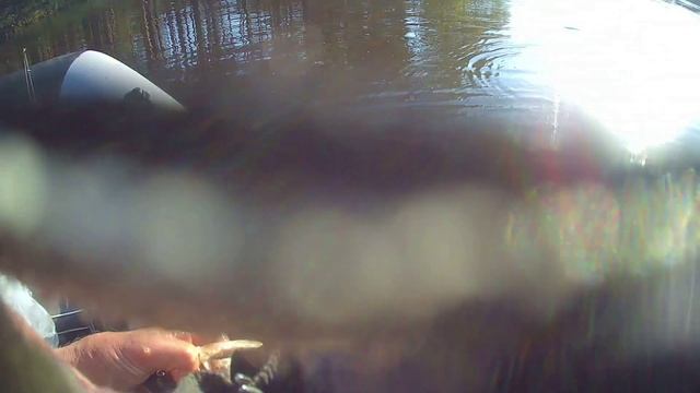 Рыбачу на сетях. Немного поймал