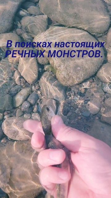 Когда ты охотник на монстров!😄🎣🐟🙌 #nastikae #рыбалка #мальма