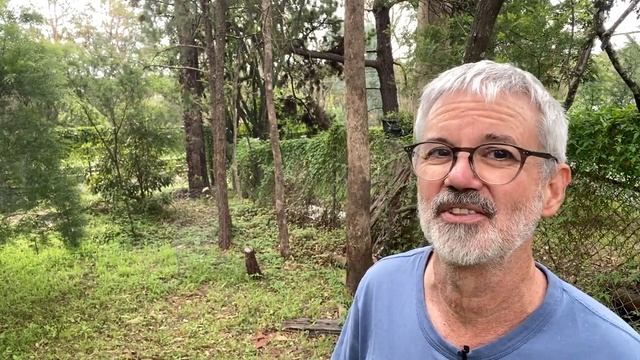 Перестаньте чувствовать себя потерянным в дикой природе рисовального видео!
