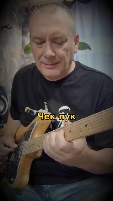 Чек-пук