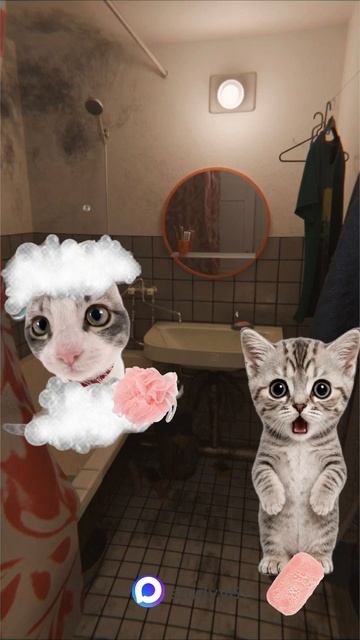 Поясняю на котятах