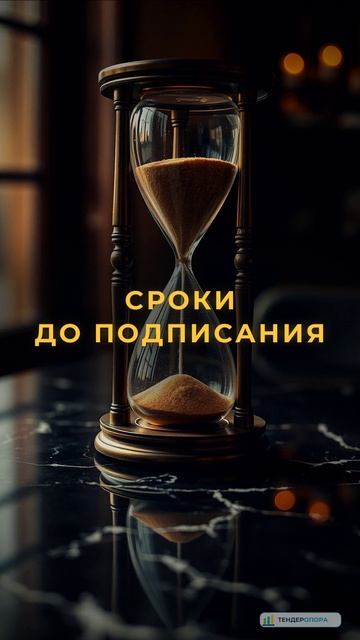 Госзакупки: поставка в школу — как работать с образованием | ТендерОпора
