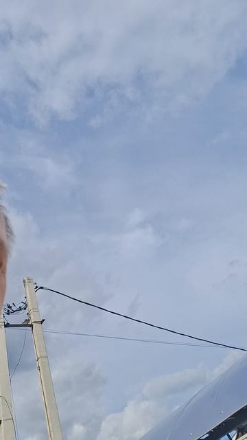 посадил дерево 🌳 вишня в саду у меня #свой_дом