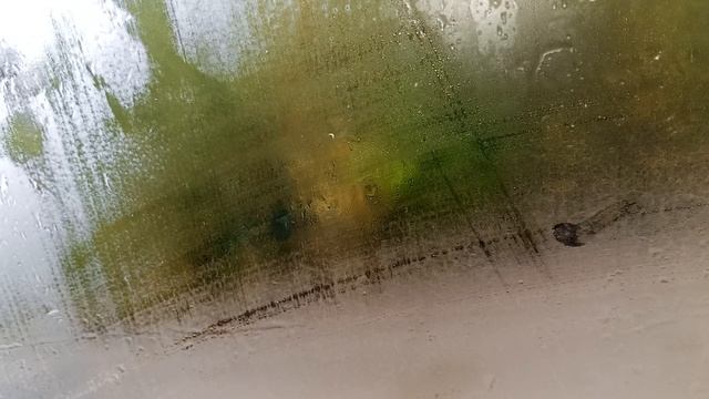 VID20260912085428[1]