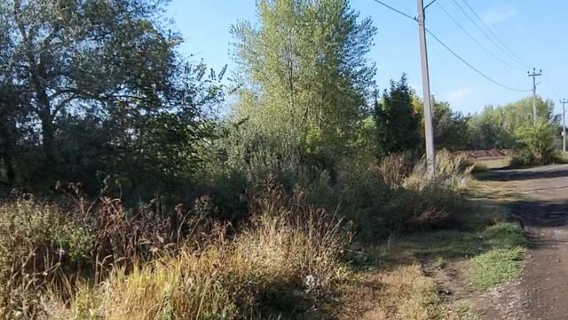Гибнет озеро Коровье Стойло Видео Виктор Поживин Оренбург 26