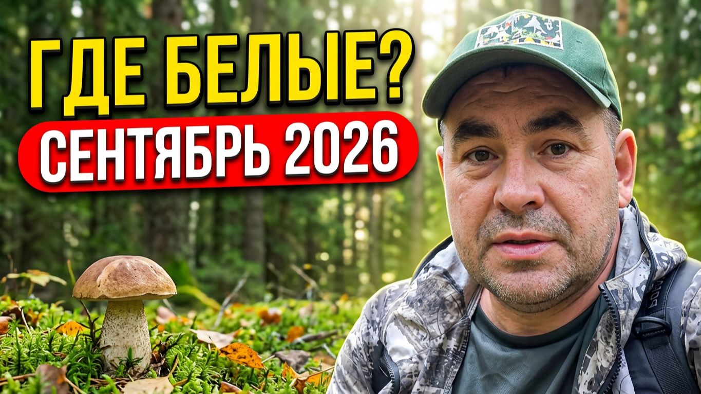 СЕНТЯБРЬ - ГДЕ ГРИБЫ? |  СВЕЖИЕ НОВОСТИ ИЗ ЛЕСА | МОСКОВСКАЯ ОБЛАСТЬ 2026