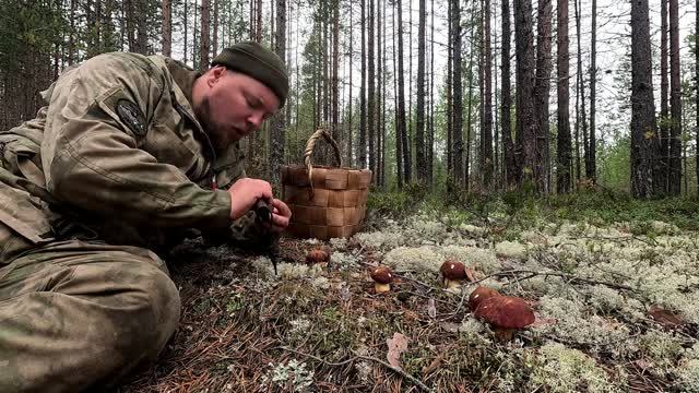 ДЕРЕВЕНСКИЙ нашёл много белых грибов. Жизнь в деревне сбор урожая