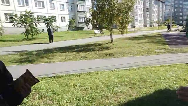 пробуем еду по цветам