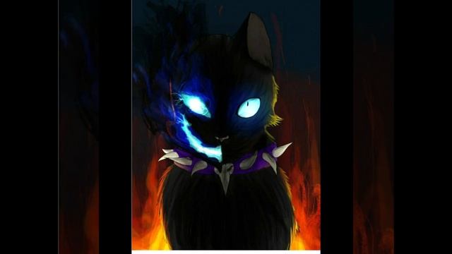 котики воители
