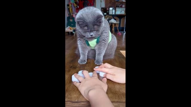 Этого игрока не обыграешь