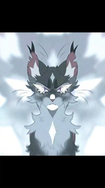 котики воители