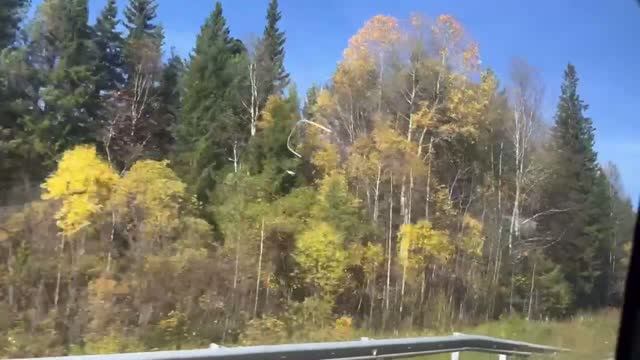 Я пришлю тебе осень .С дачи домой .Красноярск