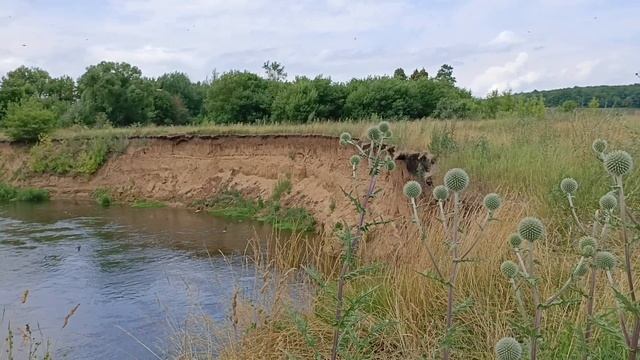 Река Красивая Меча. 09.07.2026. Музыка-Каспий Волга