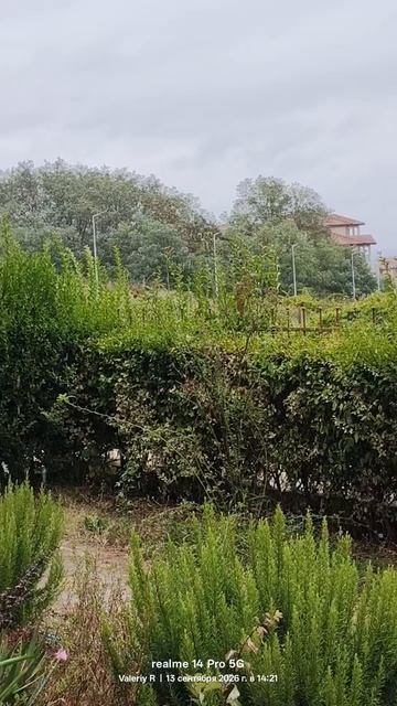 🇧🇬 Ненастный день в Бяле ☁️🌧️ 13.09.2026