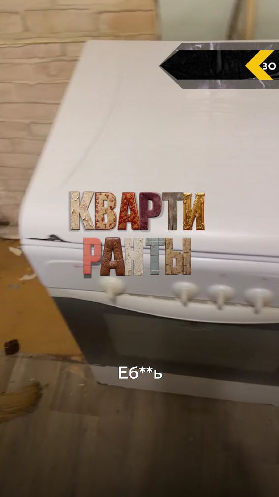 Клопы, мыши и плесень — ущерб на миллион рублей
