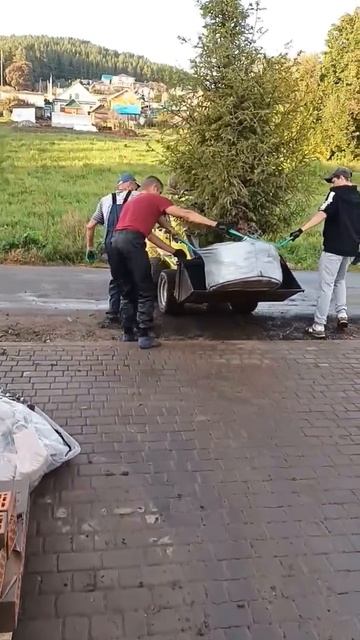 Бережная перевозка деревьев на техники Макстем #погрузчик #спецтехника #деревья #дерево #ёлка #сад