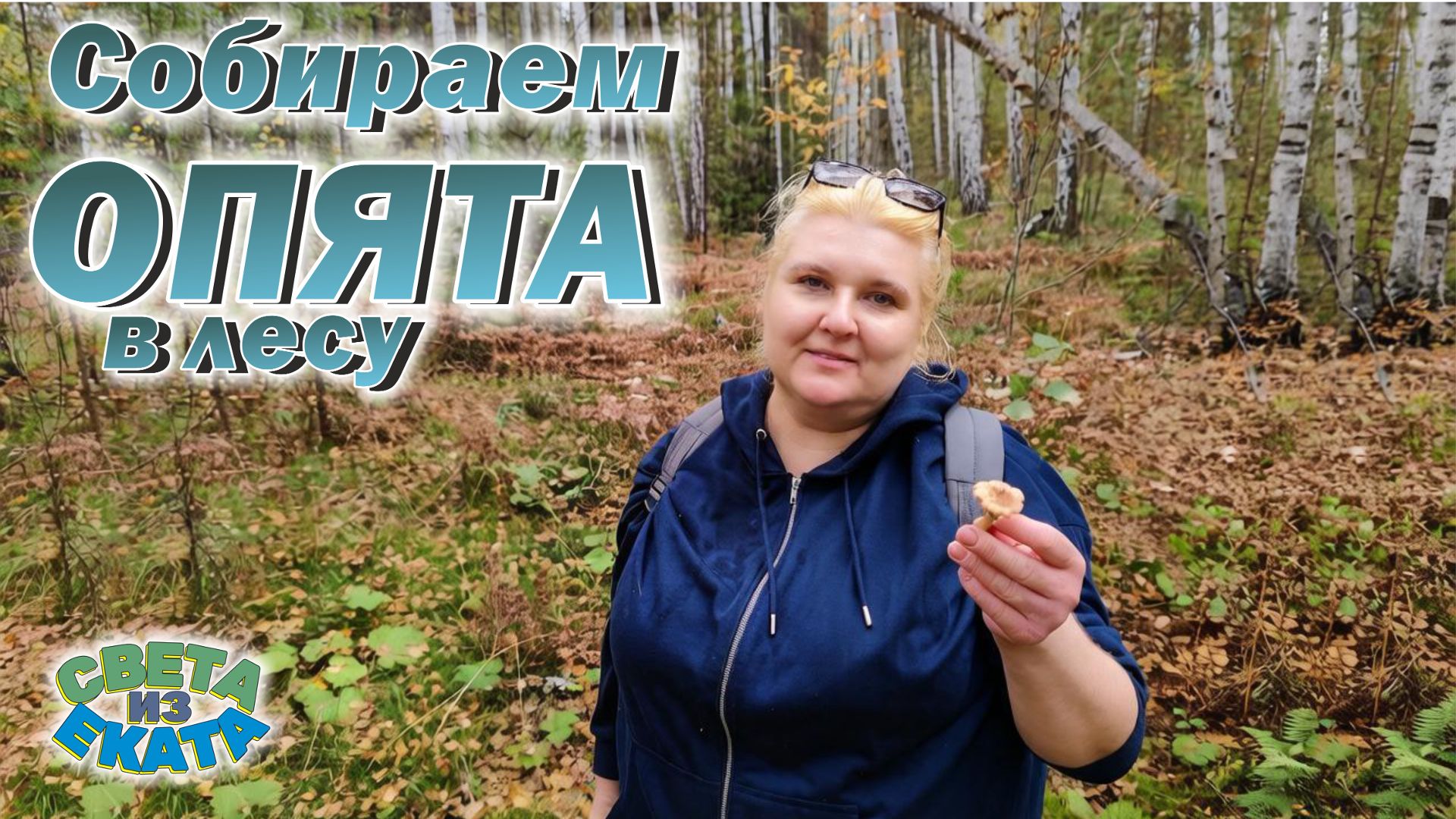 Собираем опята в лесу. Сентябрь, 26