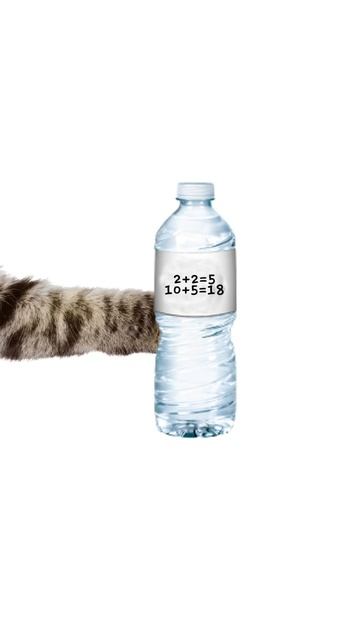 Поясняю на котятах