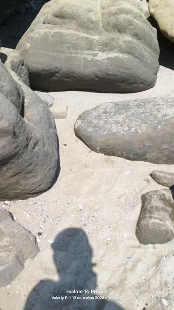 🇧🇬 Высокий песчано-каменистый берег, Чёрное море 🌊🌊🌊⛰️⛰️🌳🌳 12.09.2026