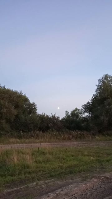 Вечерний пейзаж и луна