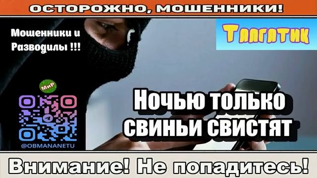 Мошенники звонят по телефону _ Ночью только свиньи свистят ( сборник ). Автор - Талгатик