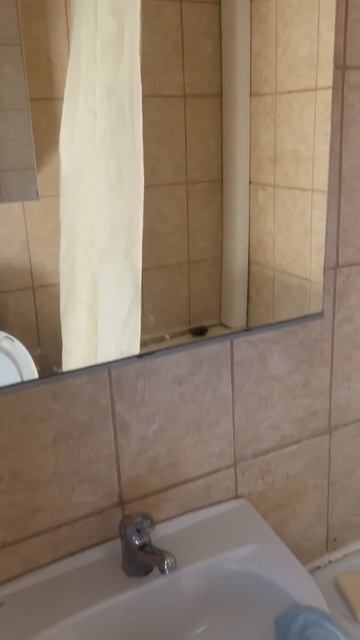 18590006184550 1