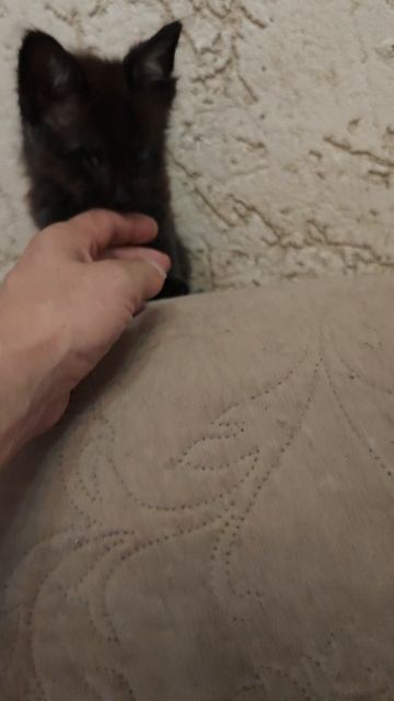 1000005356.mp4