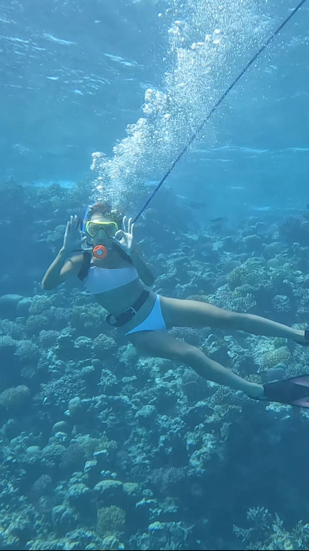 #Diving Using The Cooke System 🐟🐟🐟