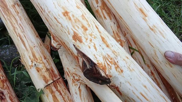 Древесина используемая для копчения