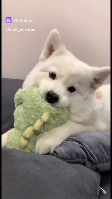Юмор