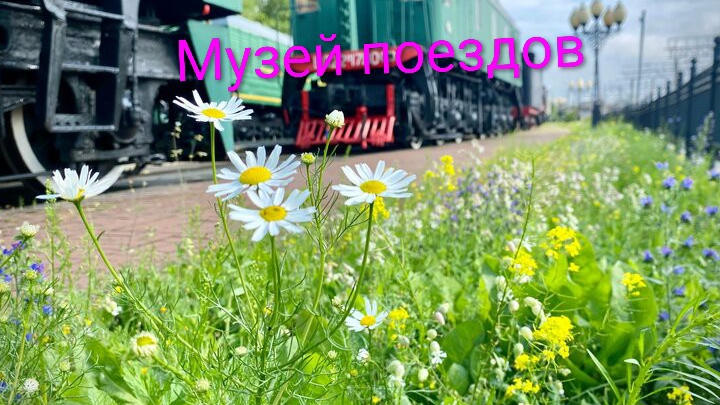 Музей поездов