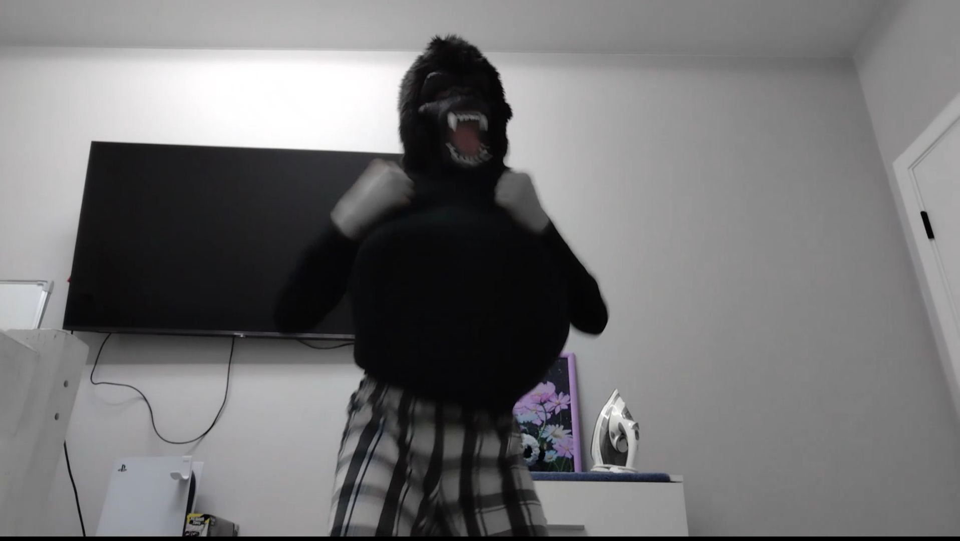 Gorilla Transformation