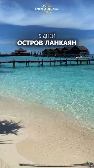 Вот ради чего стоит лететь на Борнео 🦧