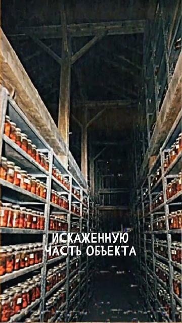 К.О.Н.Т.У.Р