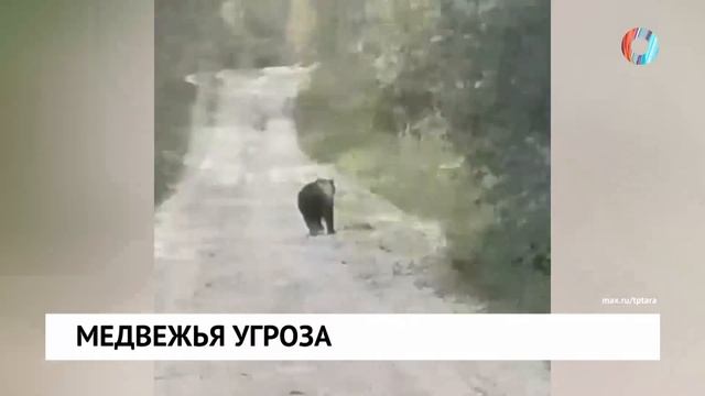 Новости от 14.09.2026